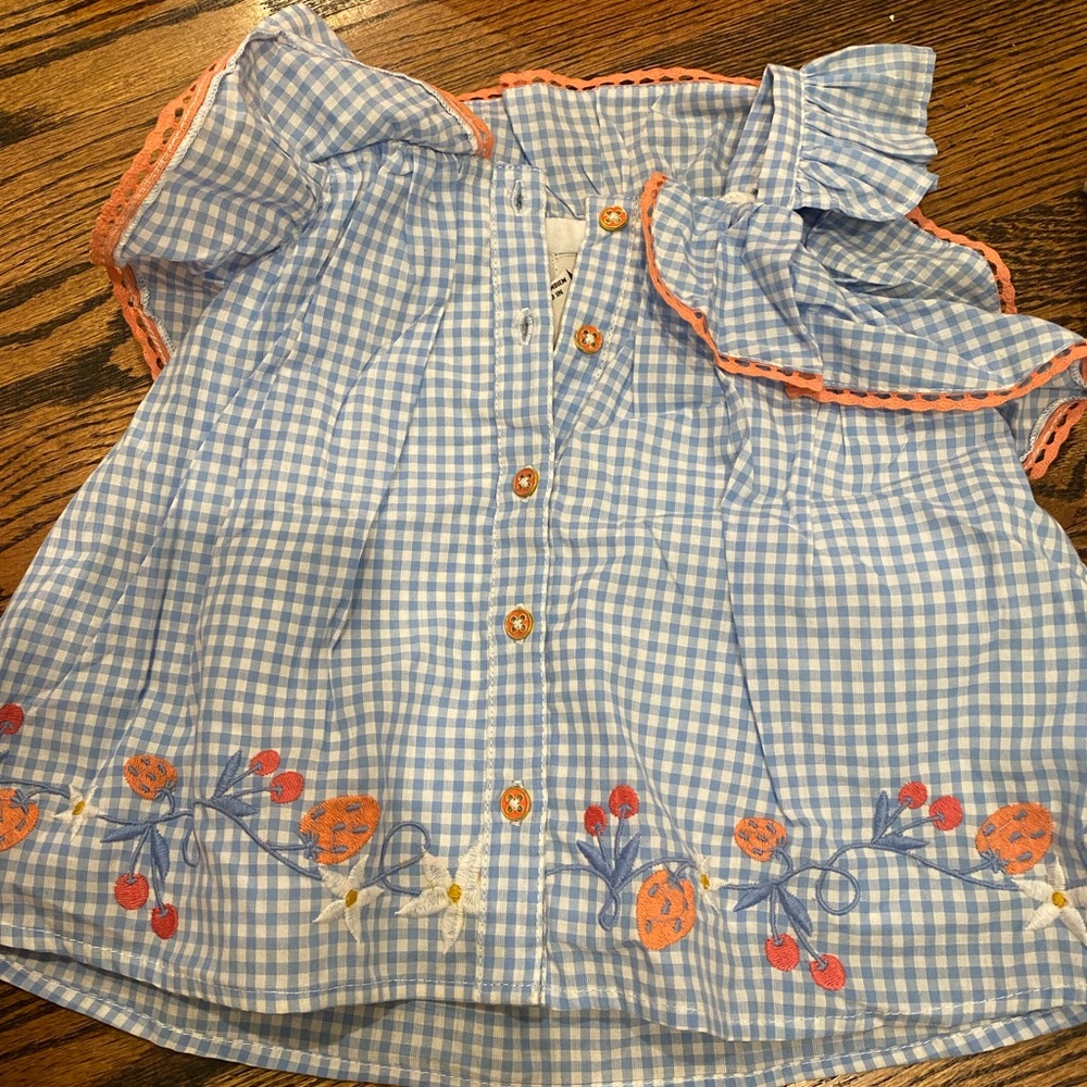 Joie Light Blue Checkered Blouse with Orange Accents never been worn brand